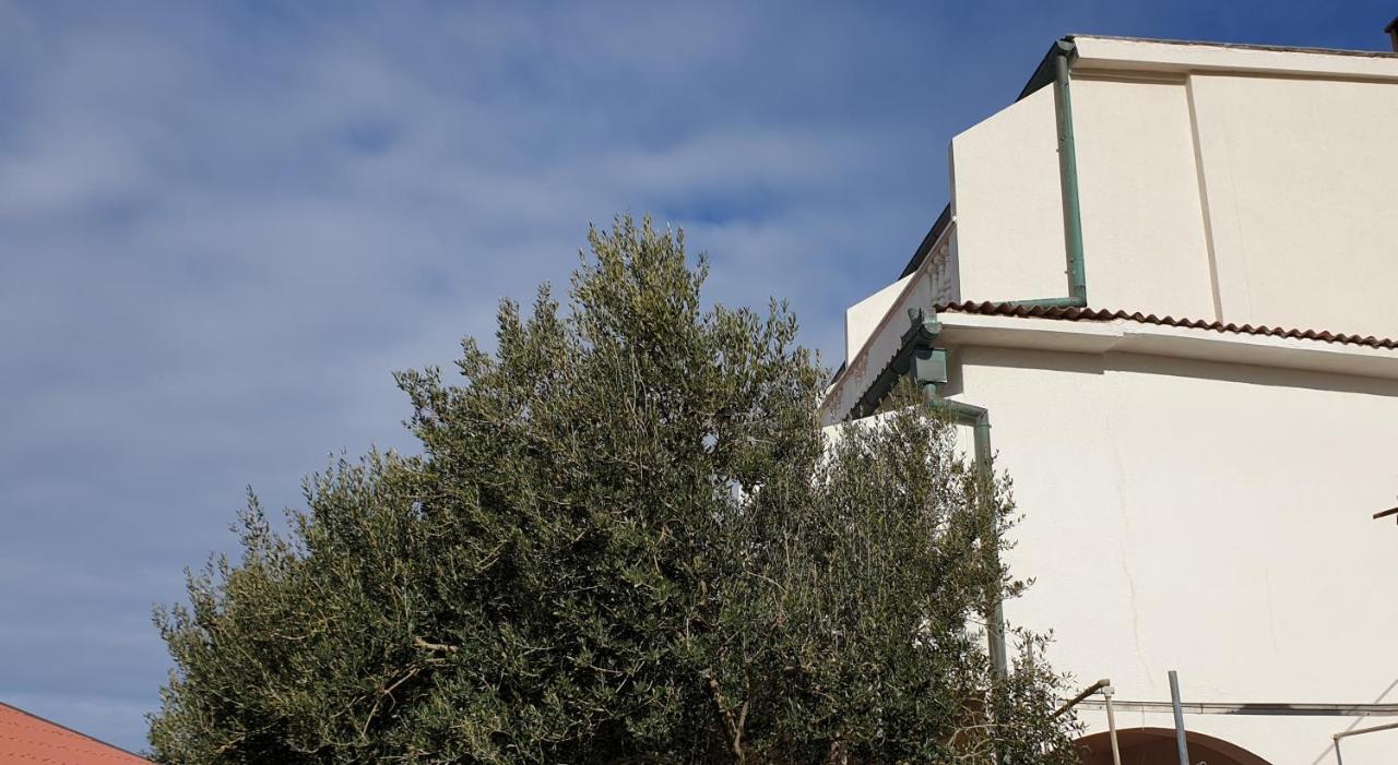 Bellavista Bed And Breakfast パグ エクステリア 写真